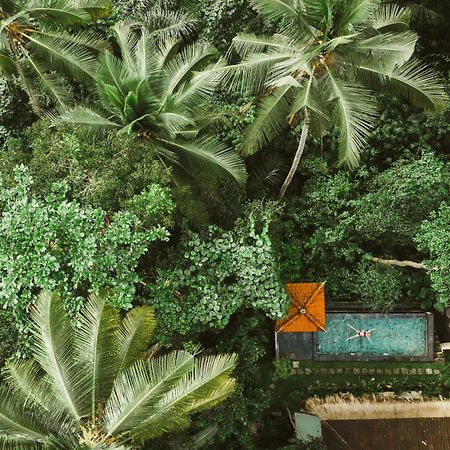 The Nest In Ubud, Bembengan Cottage Esterno foto